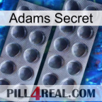 Adams Secret 31